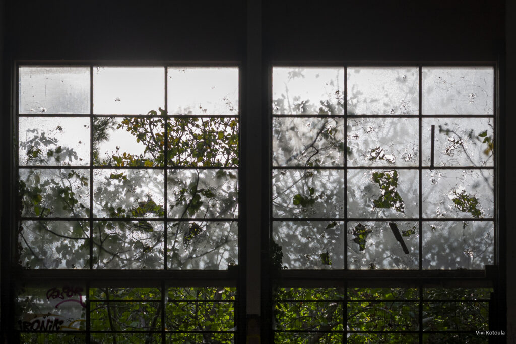 Framed Views - φωτογραφική συλλογή - Απ' έξω η φύση οργιάζει