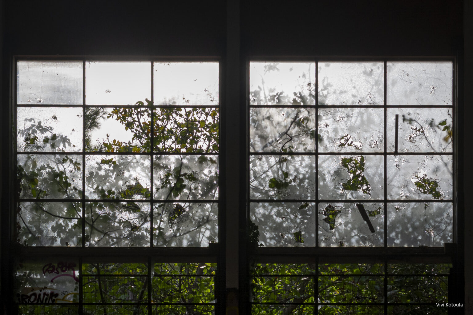 Framed Views - φωτογραφική συλλογή - Απ' έξω η φύση οργιάζει