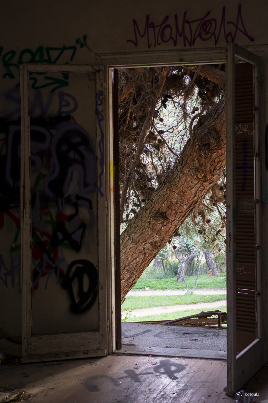 Framed Views - φωτογραφική συλλογή - Μια κατοικία ερειπωμένη και έξω απλώνεται το δάσος